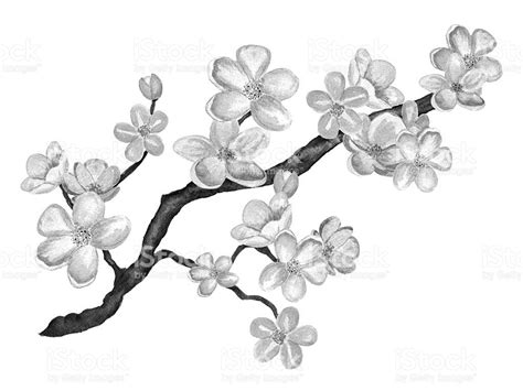 Lilac Flower Drawing at GetDrawings | Free download