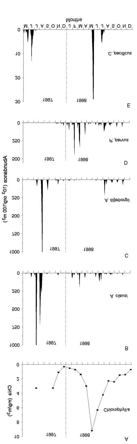 A Monthly Mean Chlorophyll A Concentration Mgm 3 At 5 Meters Depth Download Scientific