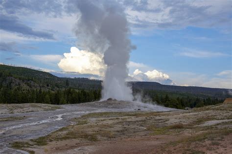 Geysers Yellowstone National Park - Free photo on Pixabay - Pixabay