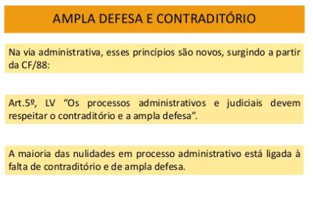 Princ Pios Constitucionais Do Processo Direito Administrativo I