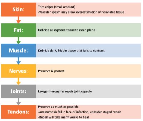 227314 General Surgery Flashcards Quizlet