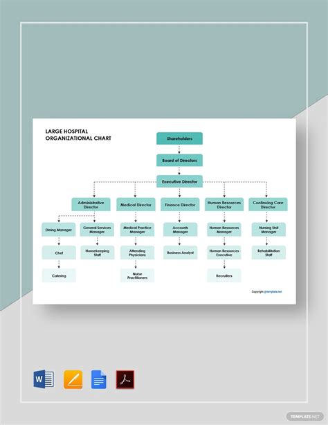 Hospital Organizational Structure Chart