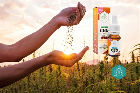 El Potencial Emergente del Cannabigerol CBG Una Guía Completa CBD