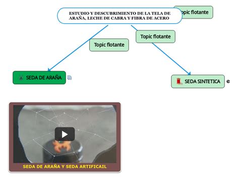 Estudio Y Descubrimiento De La Tela De Ara Mind Map