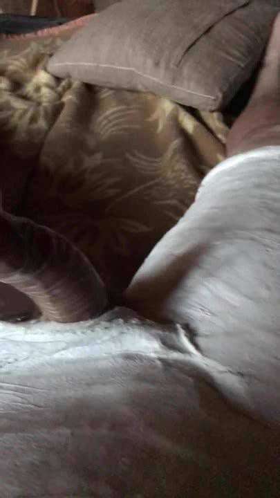 Hipspica Gips Gay Man Man Porn Feat Gerycast XHamster