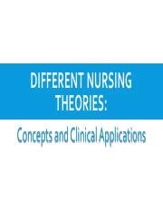 Nightingale S Environmental Theory Pdf DIFFERENT NURSING THEORIES