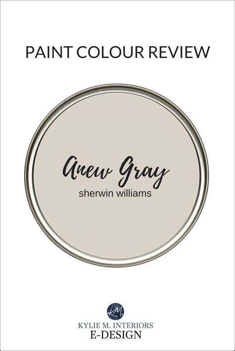 Sherwin Williams Anew Gray SW 7030 Paint Color Review Kylie M Interiors