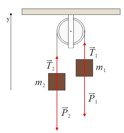 Fune Tensione E Carrucola 3 GoPhysics