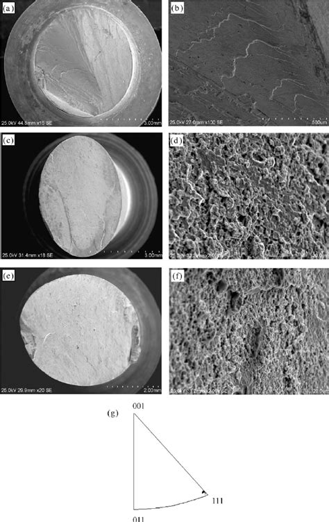 Sem Micrographs Showing The Typical Fracture Surfaces Of A B 0 0 1