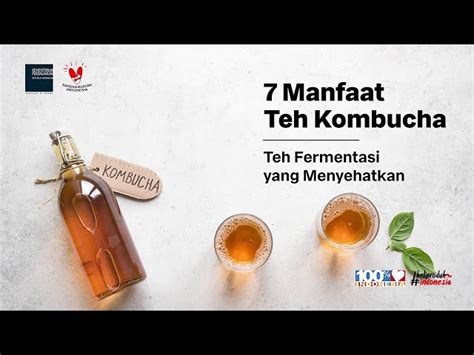 Manfaat Teh Kombucha Yang Anda Wajib Tahu