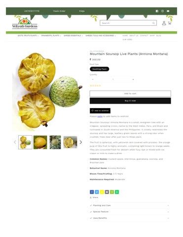 Mountain Soursop Live Plants Annona Montana By Veliyath Garden Issuu