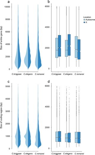 Reproductive Mode And The Evolution Of Genome Size And Structure In