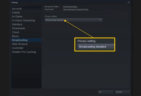 How to Broadcast on Steam