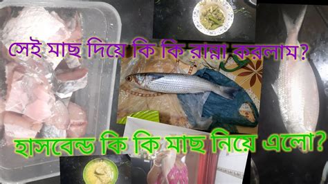 Husband বাজার থেকে ইলিশ নিয়ে এলো সেই মাছের Vapa মাথা দিয়ে কোচ শাক ☺