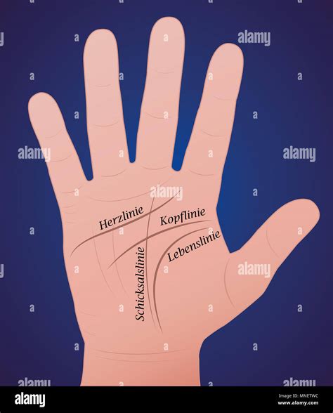 Palm Reading Palmistry Hi Res Stock Photography And Images Alamy