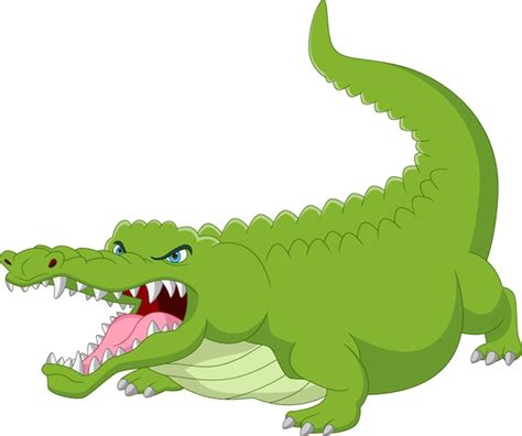 Premium Vector | Cute crocodile cartoon on white background