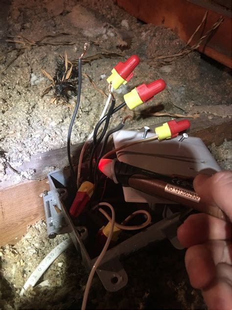 Electrical Is Exposed Wire Dangerous If Neutral Is Capped Home