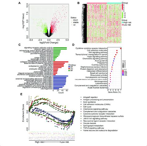 Identification Of Risk Related Differentially Expressed Genes And