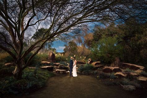 A Calm And Intimate Elopement At Springs Preserve Las Vegas NV San