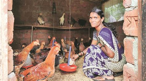 In Raigad Maharashtra — Women Take Up Poultry Farming Stop Migration