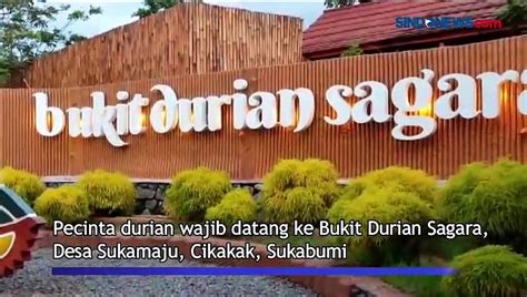 Menikmati Wisata Bukit Durian Sagara Cikakak Di Sukabumi Video