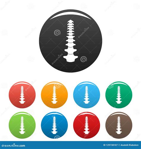 Human Spine Icons Set Color Stock Vector Illustration Of Hospital