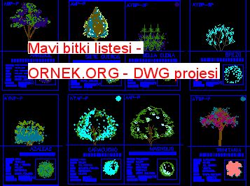 Mavi Bitki Listesi Dwg Projesi Autocad Projeler Hot Sex Picture