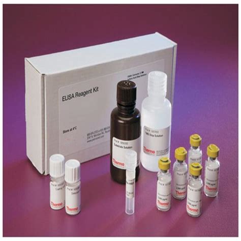 5 Prime Nucleotidase Acetylcholinesterase Assay Kit - Acetylcholinesterase Assay Kit and Anti ...