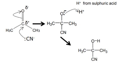 Ocr Chemistry Organic Reaction Pathways Flashcards Quizlet