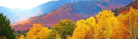 Leaf Peeping Enjoying Fall Foliage Shop Your Way Blog