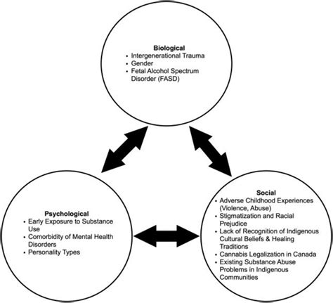 Biopsychosocial Model Download Scientific Diagram