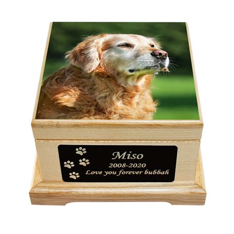 What Happens During Cremation Of A Dog