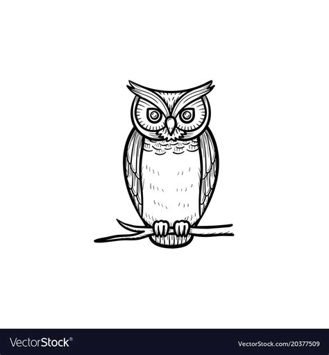 Wisdom owl hand drawn sketch icon Royalty Free Vector Image