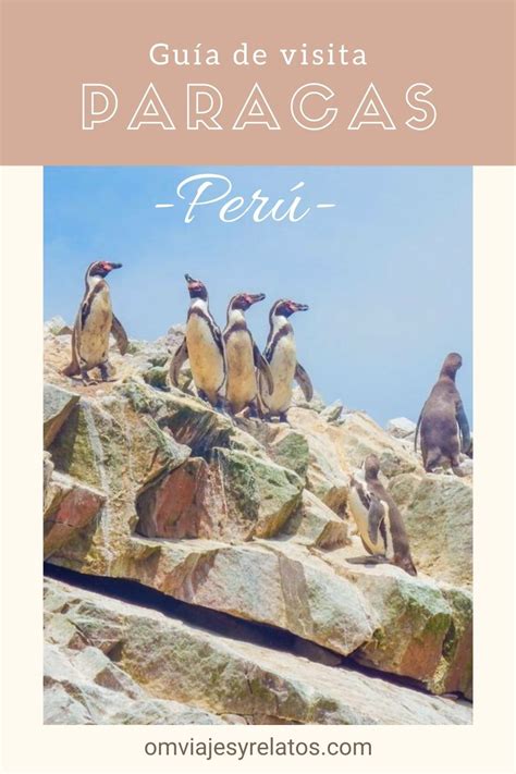 Cómo Visitar Paracas Y Las Islas Ballestas En Perú Y Qué Hacer