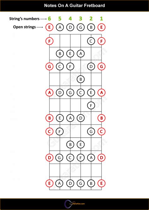 A helpful illustrated Guitar Fretboard Notes Guide!