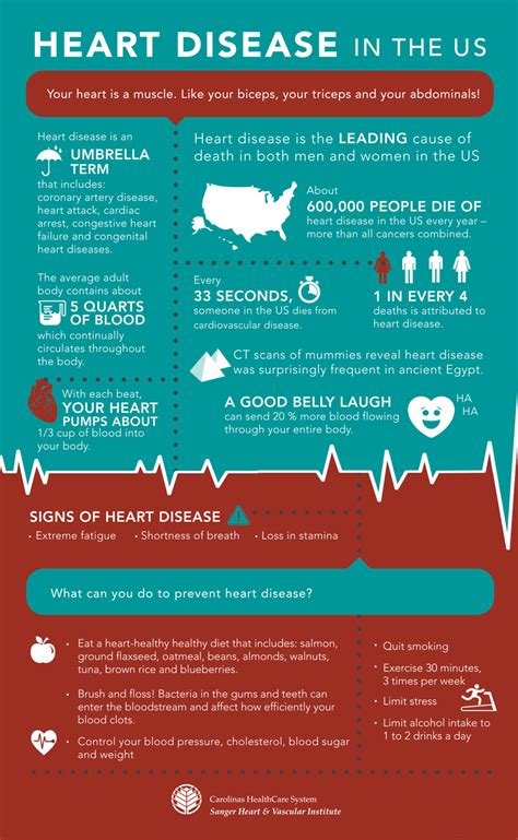 Daily Dose Infographic By The Numbers Heart Disease In The U S