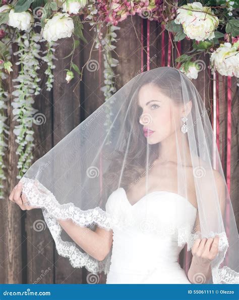 Beautiful Bride in a Wedding Dress with Bare Shoulders and Veil Stock