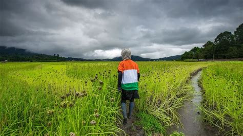 Ziro Music Festival 2024: A Promise Land For Music Lovers