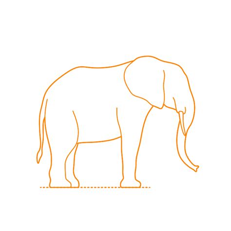 African Forest Elephant (Loxodonta cyclotis) Dimensions & Drawings | Dimensions.com