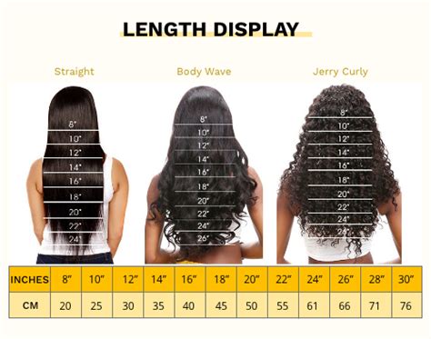 The Most Complete Guide About Wig Length Chart – Sunber