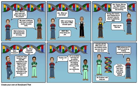 Dna Replication Storyboard By Bd680726