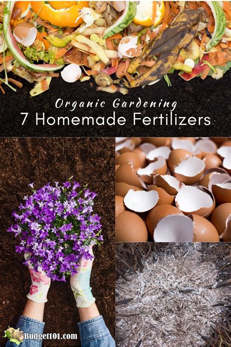 Homemade Fertilizers That Save You Money Frugal Organic Gardening