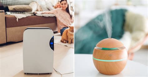 Air Purifiers VS Humidifiers Comparison What You Need To Know