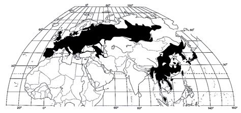 Talpidae distribution map