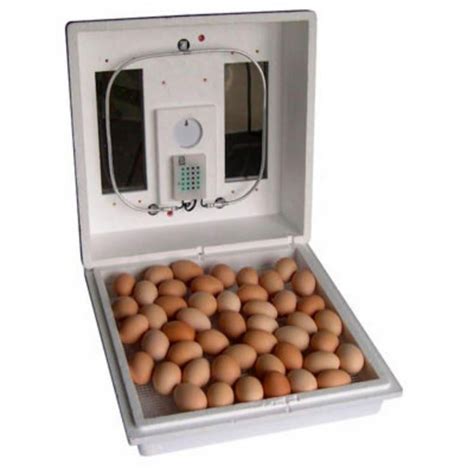 Farm Innovators Still Air Egg Incubator By Farm Innovators At Fleet Farm