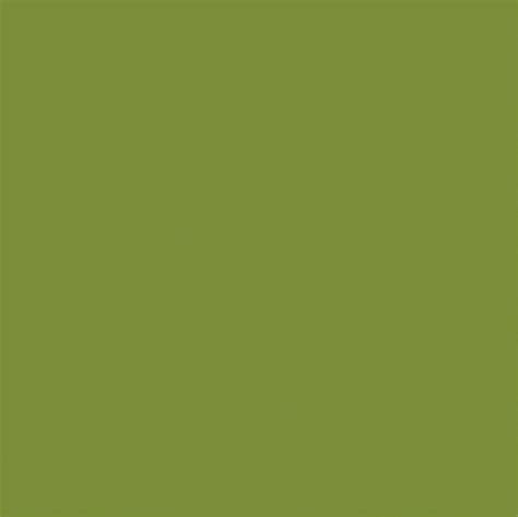 Gold Foil Stripe Olive Green 12x12 Dots And Stripes Cardstock The