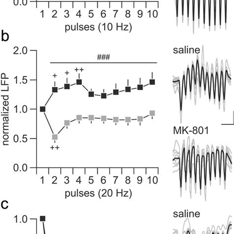 Disruption Of Ventral Hippocampal Induced Frequency Dependent