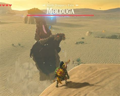 Molduga Guide Legend Of Zelda Breath Legends Of Z