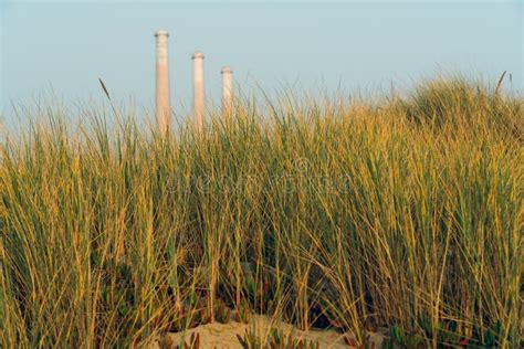 Sand Dunes Native Plants And Power Plants On Morro Bay California