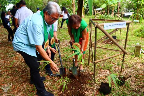 World Bamboo Day And Philippine Bamboo Month September